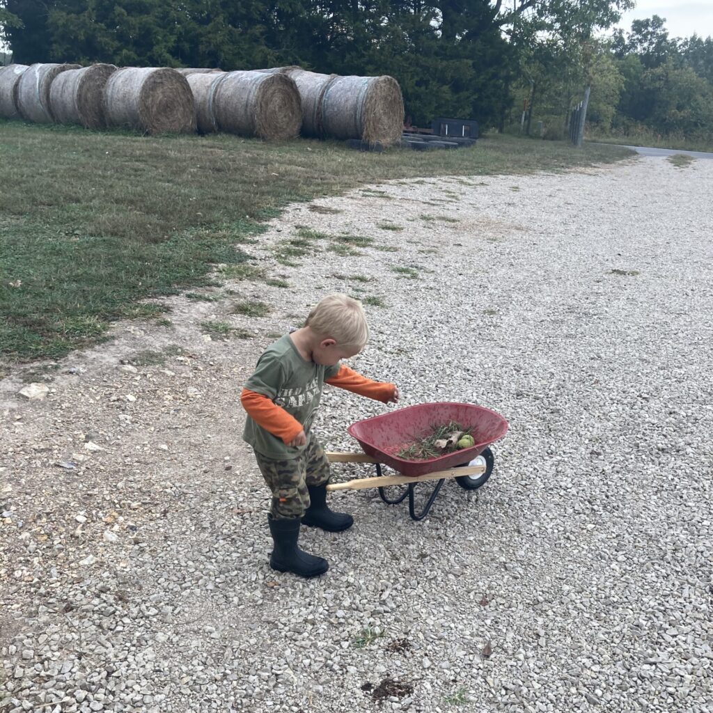 Farmer Boy