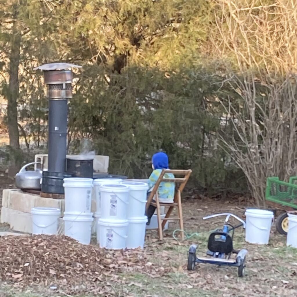 Children Watching Sap Boil